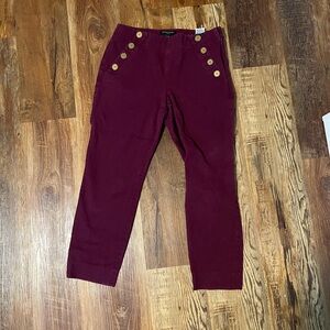 Banana Republic Maroon Trousers